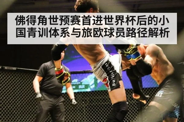 佛得角世预赛首进世界杯后的小国青训体系与旅欧球员路径解析